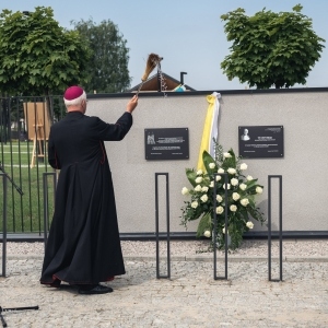 117819480_766266210800237_2362503613610835785_n