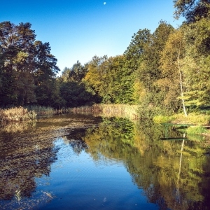 121109720_805405246886333_6689734477633090529_n