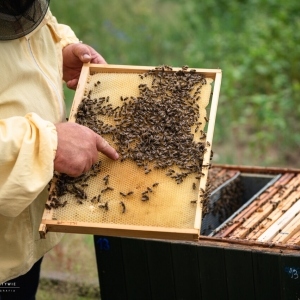 1ac32ea0-fec6-4c60-bbd0-363a4b1f1169