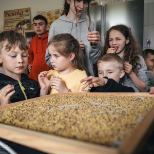 1b9c5f30-268b-494b-89e1-f5e5349c62b4