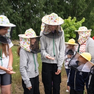 ae140d99-d28a-4fea-8178-0cb936eb4a88