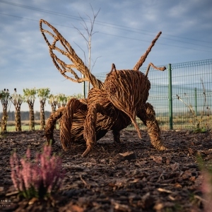 OWADZI RAJ5.KOCHANÓW