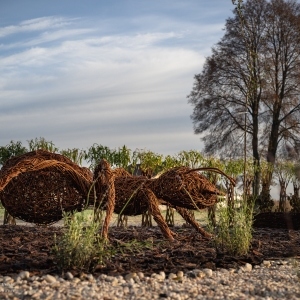 OWADZI RAJ6.KOCHANÓW