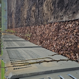 Zdjęcie 9 Nowy Jasień ISnP2023