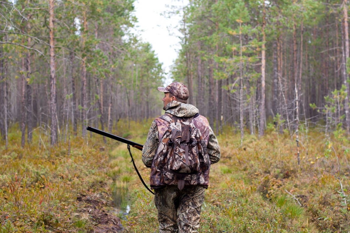 mysliwy-idacy-przez-las