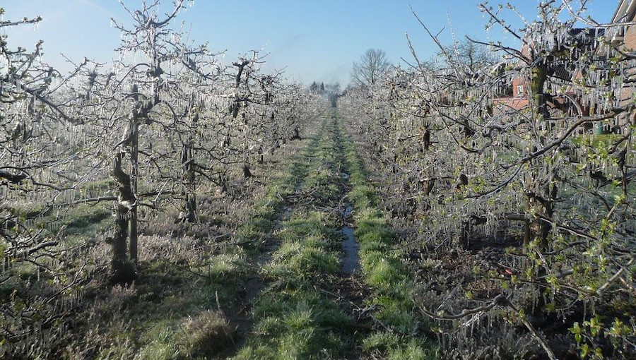 NB-news-205402-wsnn_przmr_8_IV_2022