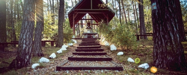 121071888_805409523552572_1833459567273521066_n