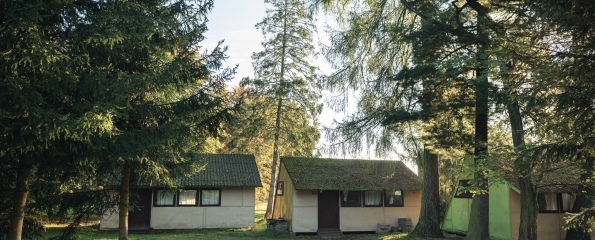 121090745_805403213553203_844151717869973578_n