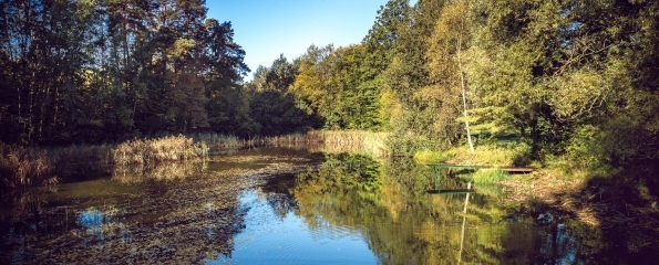 121109720_805405246886333_6689734477633090529_n